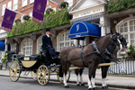 The Goring