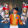 The Royal Mews