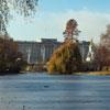 Royal Parks